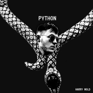 Harry Mold Python single artwork
